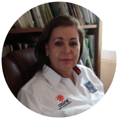 Dr. Sandra Isabel Ramírez González